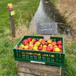 Zomertijd klompenpad wandeling